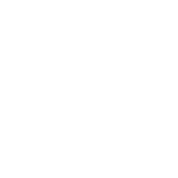 VERBA LEGAL — Право 300
